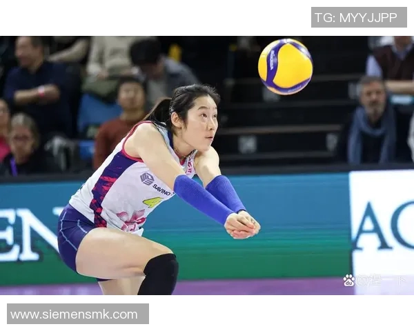 上海排球队实力强劲荣获全国排球实力排行榜第三名