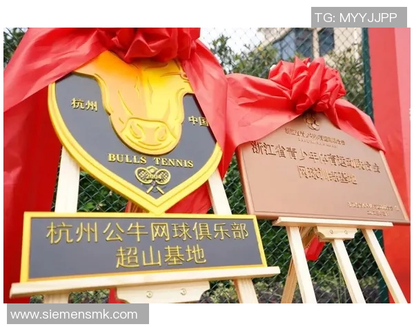 杭州网球队运营革新探索：提升竞技水平与商业价值的双重路径